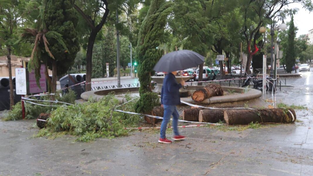 el-ayuntamiento-de-cordoba-vuelve-a-cerrar-los-parques-este-domingo-por-lluvia-y-viento