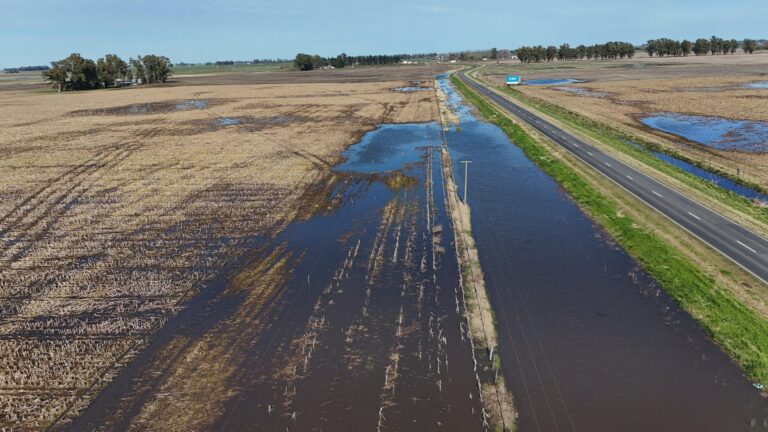 Cuarta Sección: emergencia hídrica, obras retrasadas e industria intermitente en la región donde Kicillof y Milei podrían ser relegados