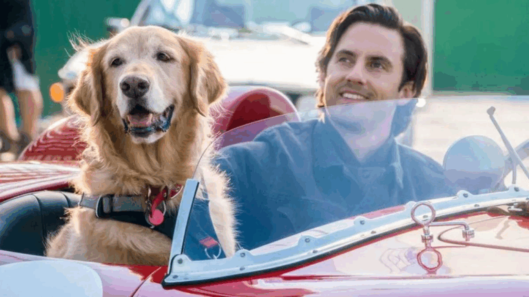La conmovedora película de Netflix que te hará emocionar con el vínculo entre un perro y su familia