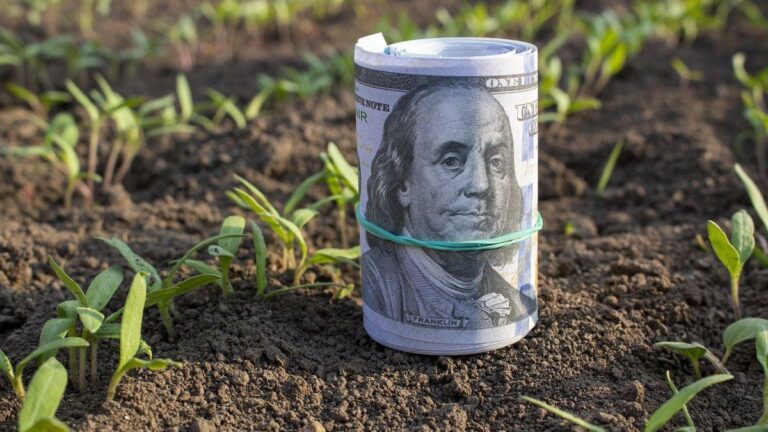 La liquidación de dólares del agro se desplomó 41% interanual en febrero